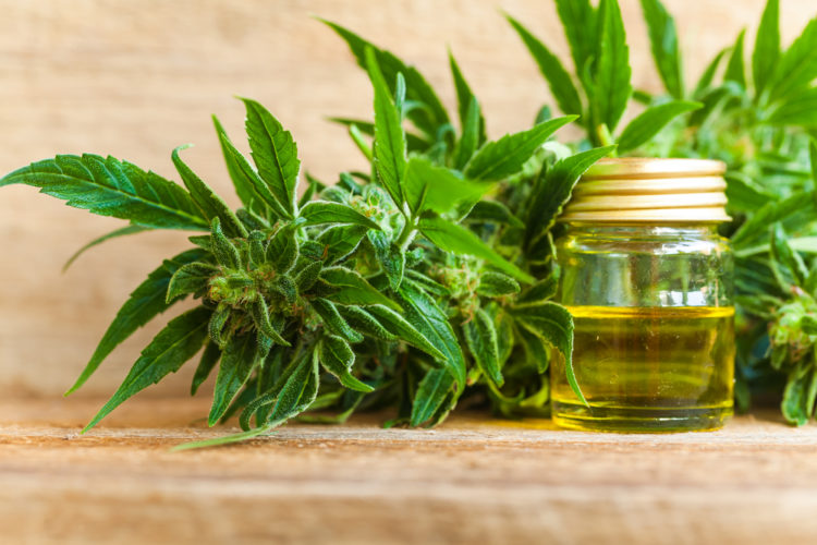 Ocanna CBD Oil Sale